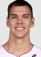 弗拉迪斯拉夫·戈尔丁