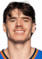 布鲁克斯·巴恩海泽