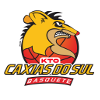 Caxias do Sul LDB U22