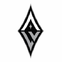 圣安东尼奥银星