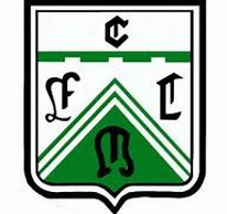 费罗卡利  logo